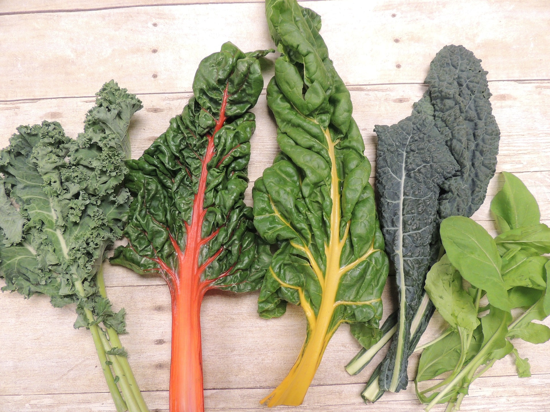 Why is Magnesium vital?