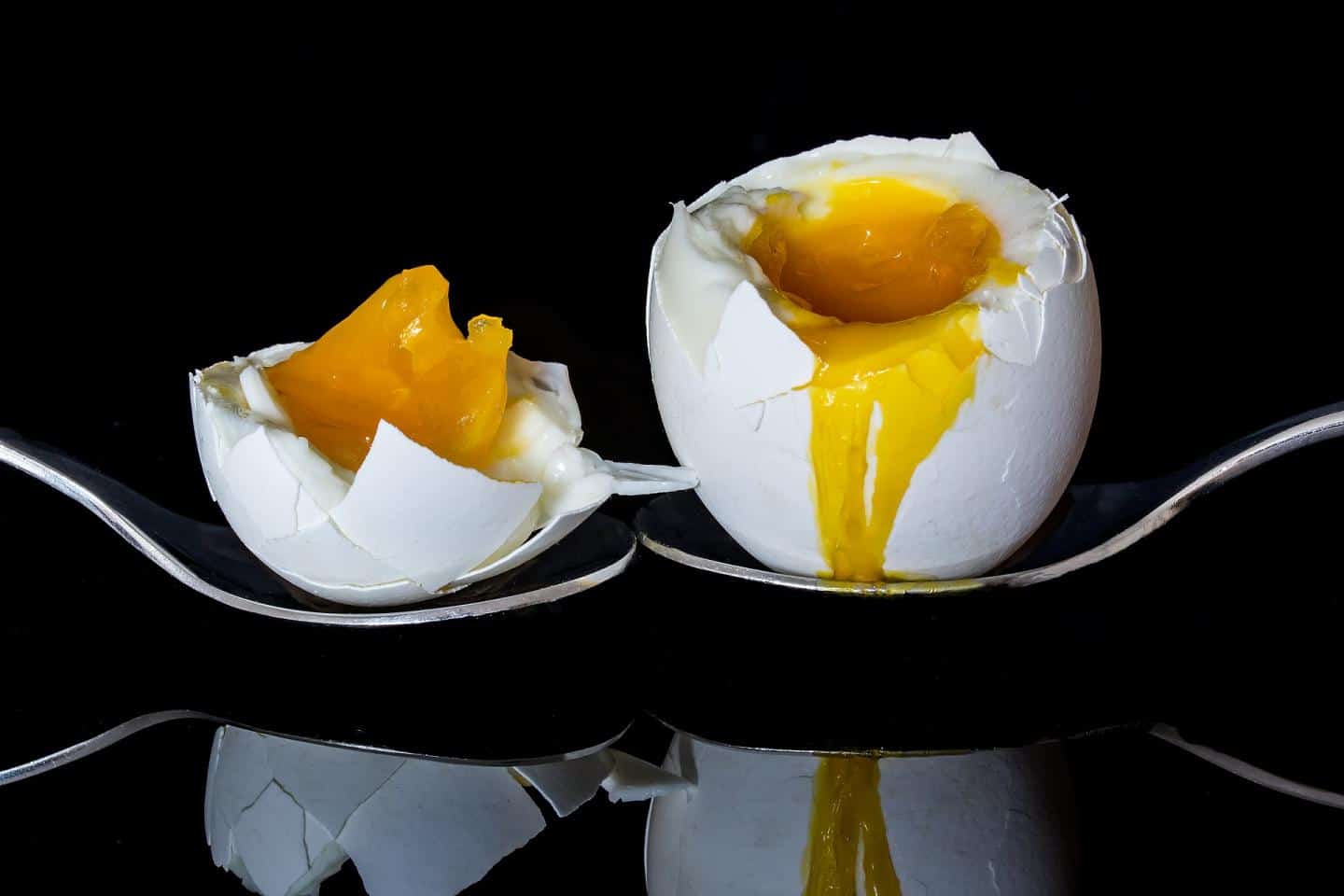 Why is Zinc important?